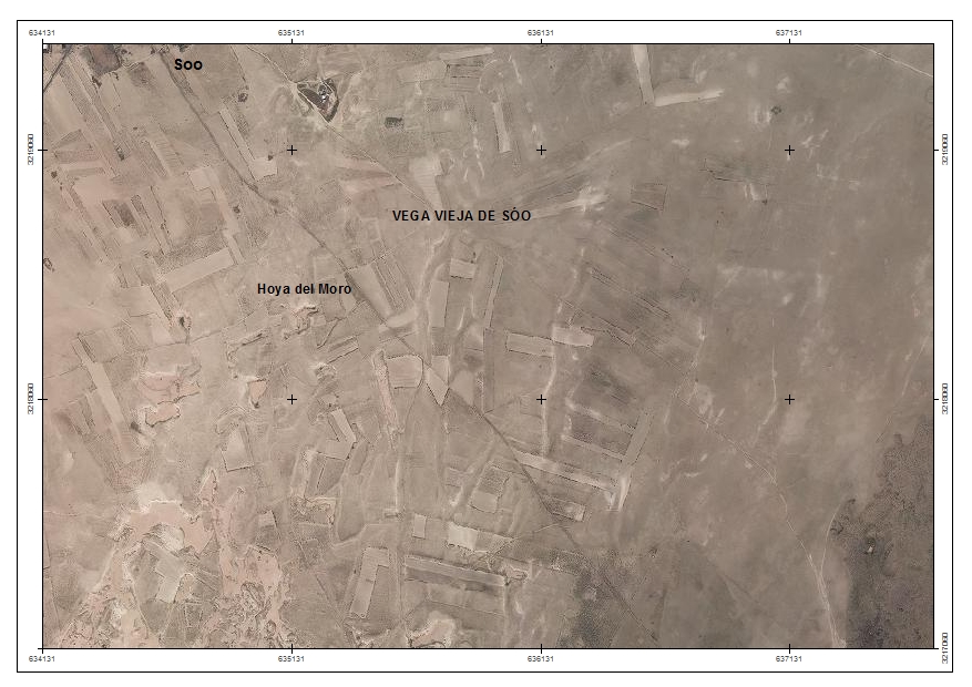 Dote en Hoya del Moro